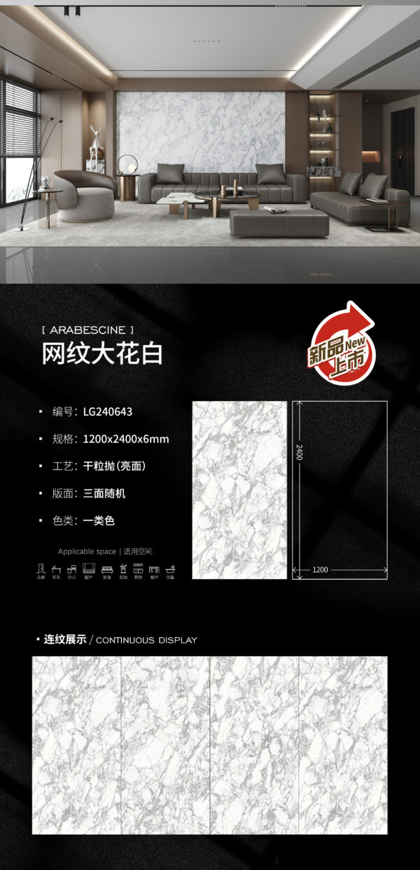 Modern Luxe Space Wall Reticulated Bianco Slab 1200x2400x6mm Glossy Seamless Grandeur