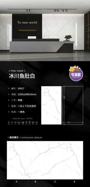 Glossy-1200X2400X9MM-24917