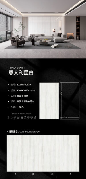 Luxury Art Feature Wall Italian Starry White Slab 1200x2400x6mm Matte Ultra-Thin & Celestial Sparkle