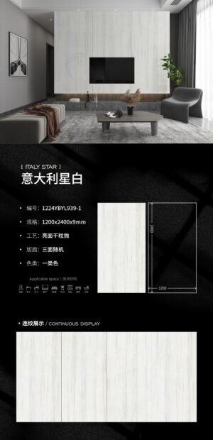 Luxury Hotel Wall Italian Snow White Slab 1200x2400x6mm Matte Scratch-Resistant & Serene Elegance