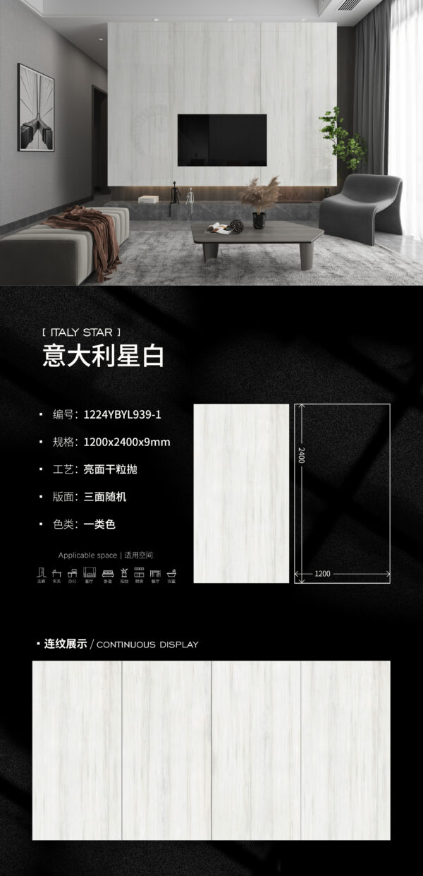 Luxury Hotel Wall Italian Snow White Slab 1200x2400x6mm Matte Scratch-Resistant & Serene Elegance