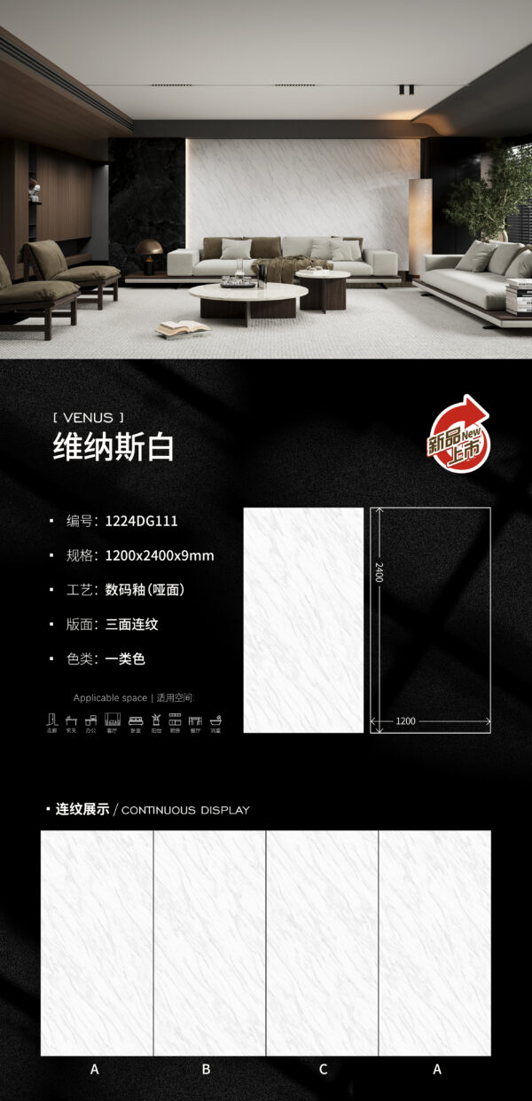 Matt-1200X2400X9MM-DG111维纳斯白