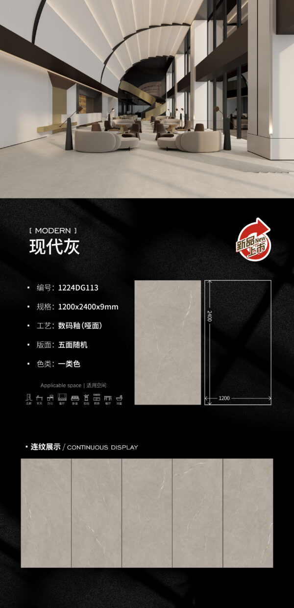 Matt-1200X2400X9MM-DG113现代灰