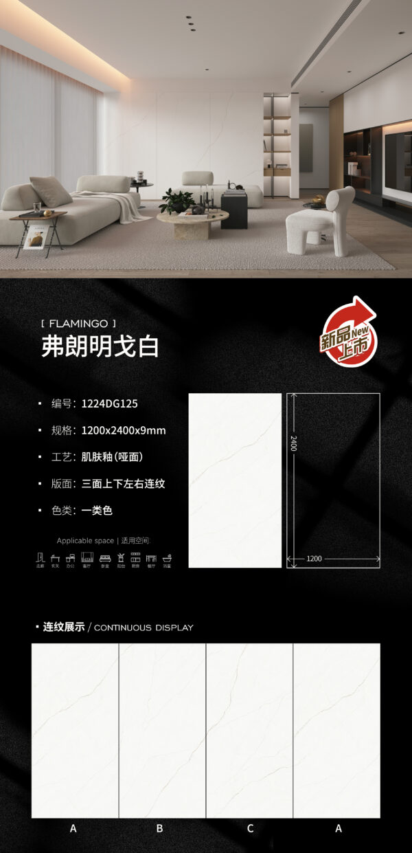 Matt-1200X2400X9MM-DG125弗朗明戈白