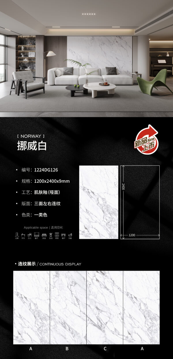 Matt-1200X2400X9MM-DG126挪威白