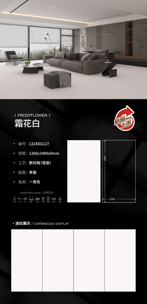 Matt-1200X2400X9MM-DG127霜花白