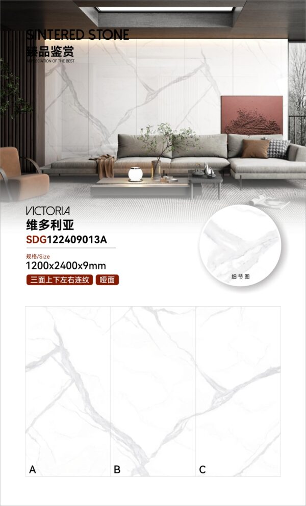 Matt-1200X2400X9MM-SDG09013A维多利亚