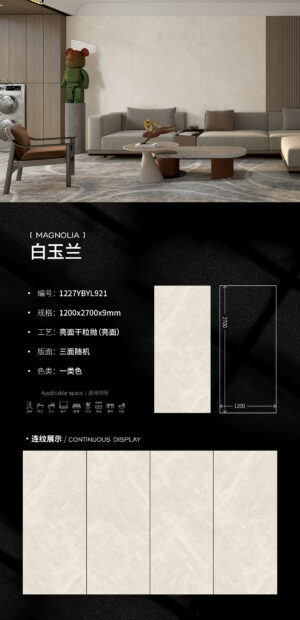 Glossy-1200X2700X9MM-YBYL921白玉兰