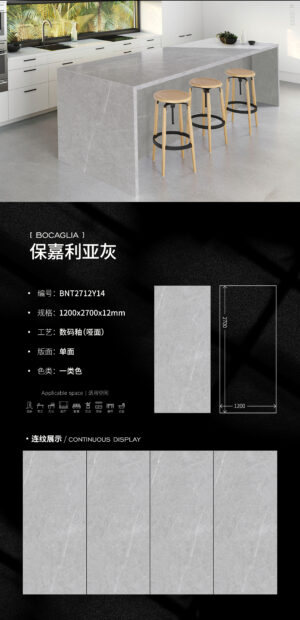 Matt-1200X2700X12MM-BNT2712Y14宝嘉利亚灰