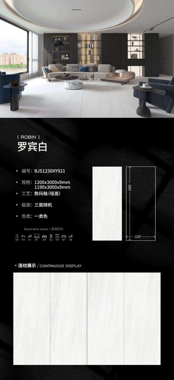 Matt-1200X3000X9MM-BJS1230XY921罗宾白--- Modernist Living Room Matte Slab 9mm Fine Texture & Spacious Effect